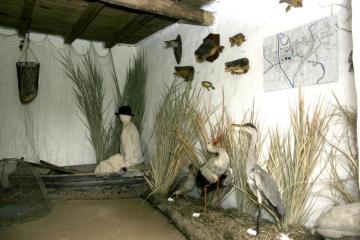 Fotogaléria