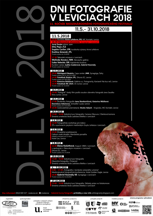 DFLV 2018 Plagat V5.png DFLV 2018 Plagat V5.png