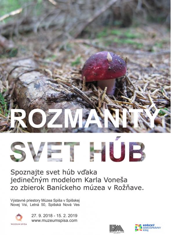Rozmanity svet hub.jpg Rozmanity svet hub.jpg
