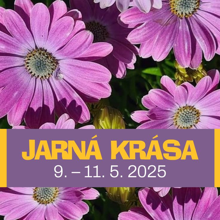 Jarná krása-736x736.jpg