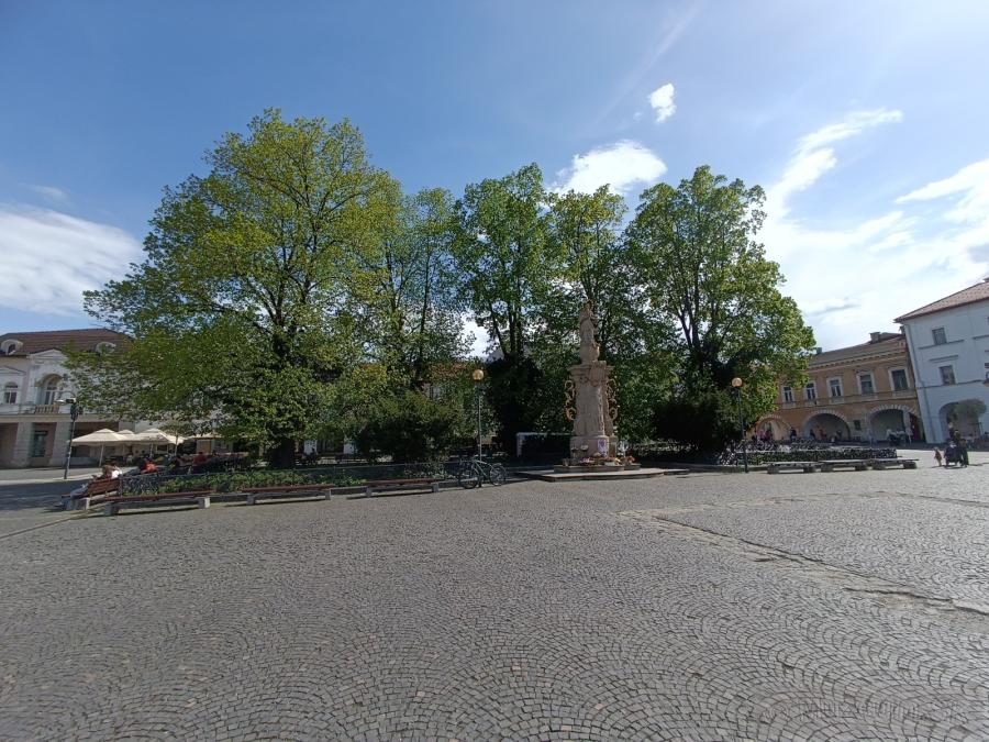 Fotogaléria