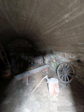 Hrad Strečno (©Muzeum.SK 2025)