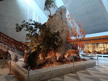 Múzeum Tatranského národného parku, Tatranská Lomnica
