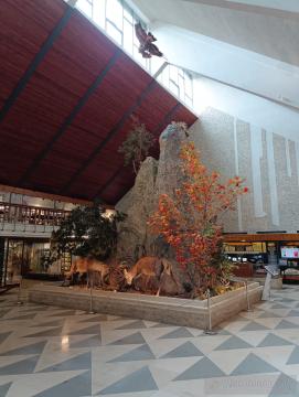 Múzeum Tatranského národného parku, Tatranská Lomnica