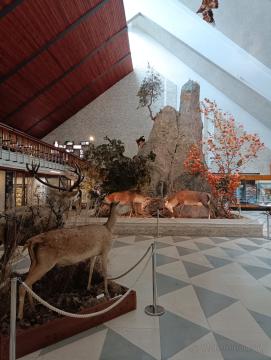 Múzeum Tatranského národného parku, Tatranská Lomnica