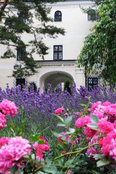 Západoslovenské múzeum v Trnave