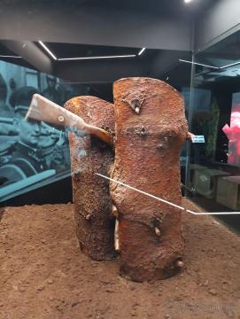 Múzeum SNP, Banská Bystrica (2025) Fotogaléria