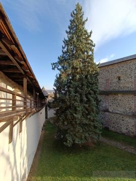 Starý Zámok, Banská Štiavnica (2025) Starý Zámok, Banská Štiavnica (2025)