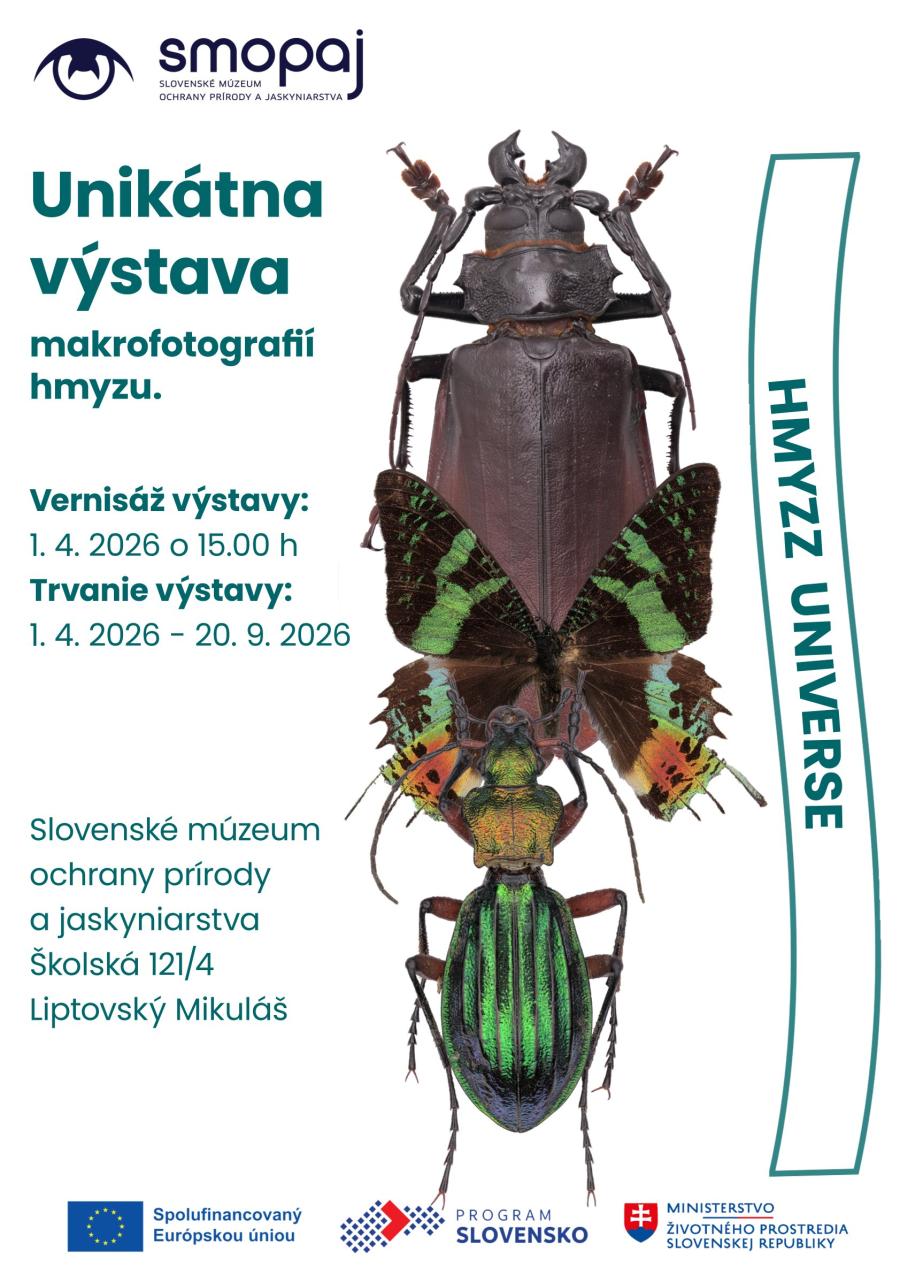 Plagat Hmyzz Universe, finál.jpg